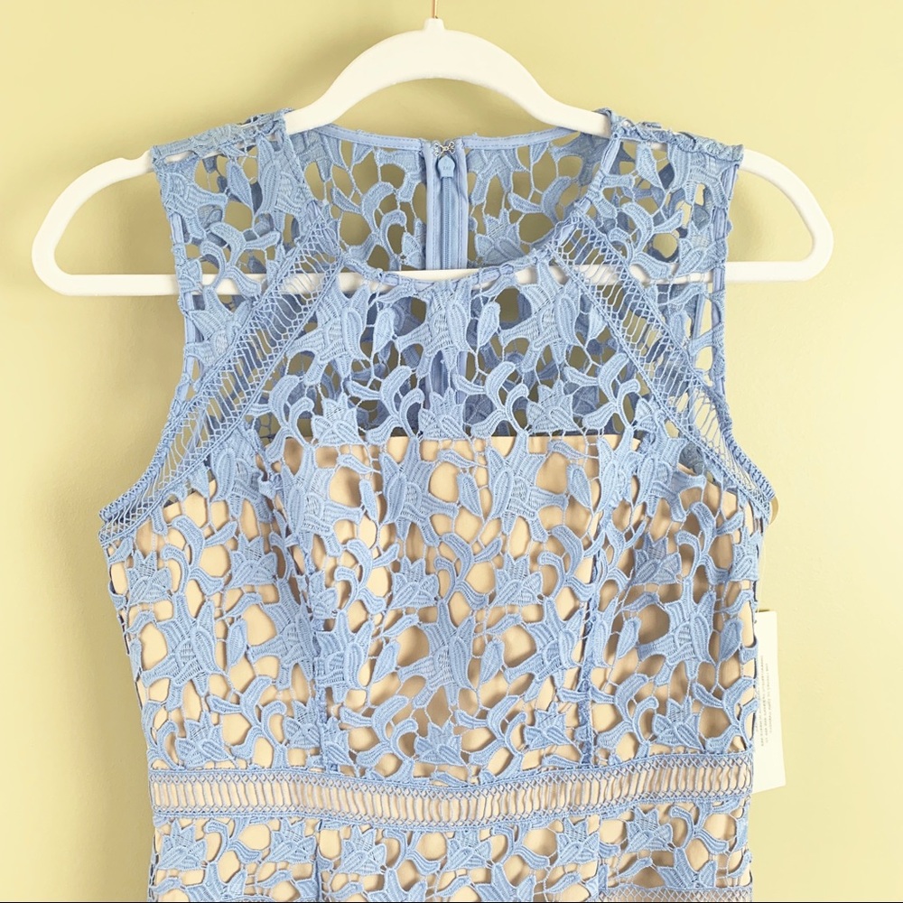 Eliza J Lace MIDI Sheath Dress - Picture 5 of 8